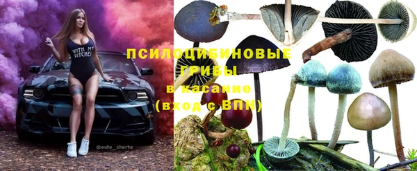 PSILOCYBIN Абаза