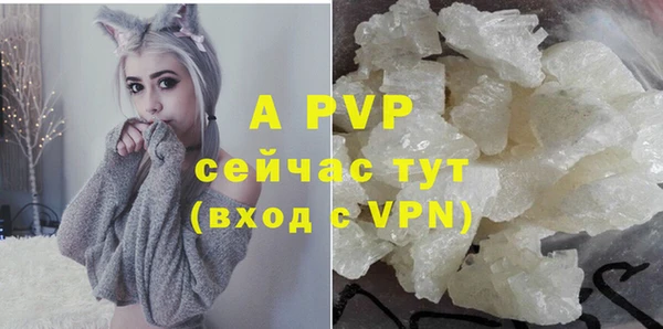 PSILOCYBIN Абаза